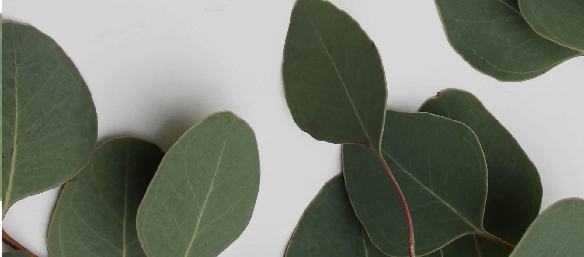 Взыскание ущерба от экологических правонарушений в Алтайском