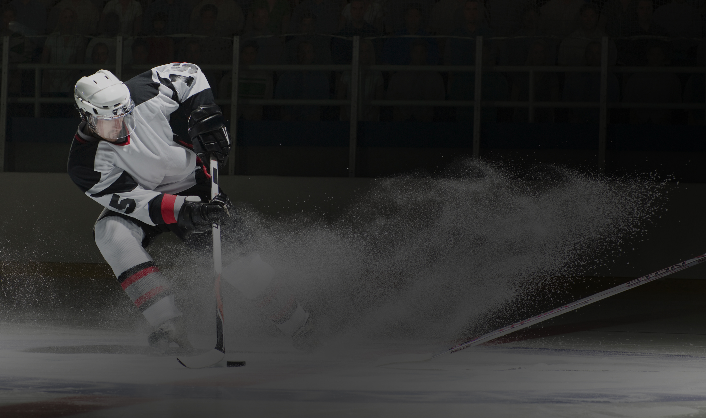 Услуги спортивного юриста в Алтайском